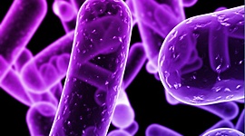 Timeline: Historia de la microbiologia