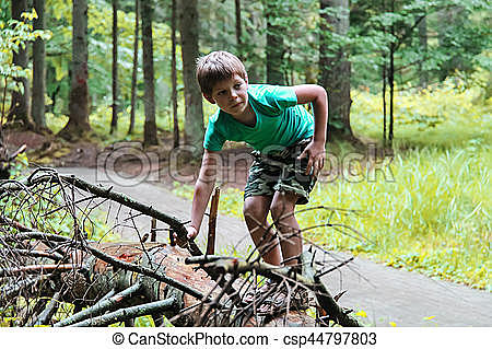 I FALL DOWN A MAMON TREE