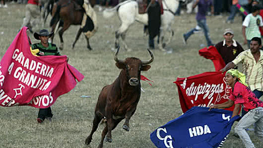 MY FIRST TIME IN A CORRALEJA