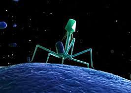 Cesar Mildstein y Georges Koher