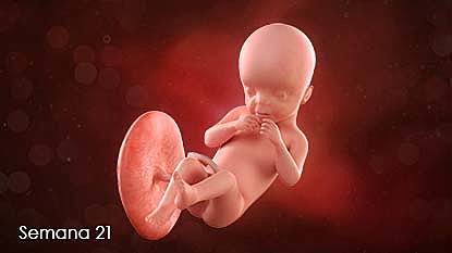 semana 21