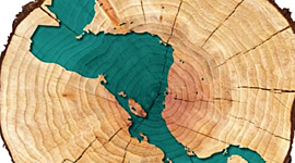 Timeline: Las tendencias artísticas de América Central