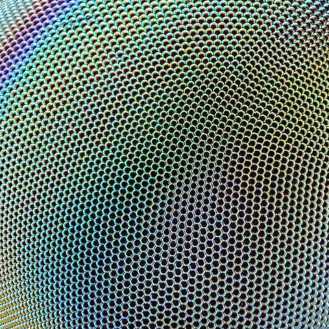 Metamorphosis by Blank Banshee