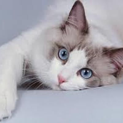 Timeline: LAS REDES SOCIALES DE LOS 00'S