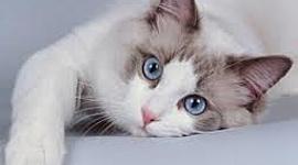 Timeline: LAS REDES SOCIALES DE LOS 00'S