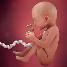 SEMANA 23 / DICIEMBRE 2 A DICIEMBRE 8