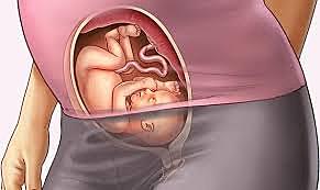 SEMANA 26 / DICIEMBRE 22 A DICIEMBRE 29