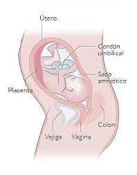SEMANA 27 / DICIEMBRE 30 A ENERO 4