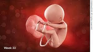 SEMANA 33 / FEBRERO 9 A FEBRERO 15