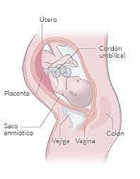 SEMANA 36 / MARZO 1 A MARZO 7