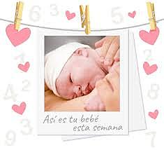 SEMANA 40 / MARZO 29 A MARZO 31