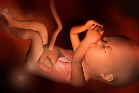 Semana de la 20 - 21