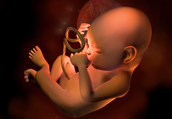 Semana de la 28 - 29