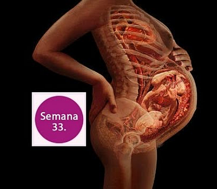 Semana 33