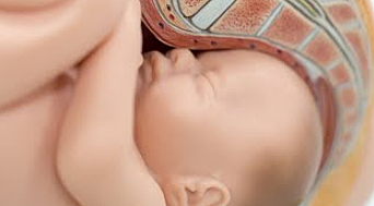 Semana de la 36 - 37