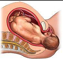 Semana de la 38 - 39