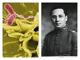 2002 - Hopwood y col.