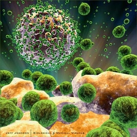 AUGE DE LA MICROBIOLOGÍA GENERAL.