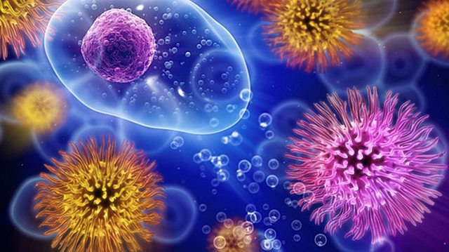 Hasta este año se sucedieron una serie de acontecimientos que marcaron a este período como la época de oro de la Microbiología.