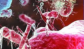 Girolamo Fracastorius