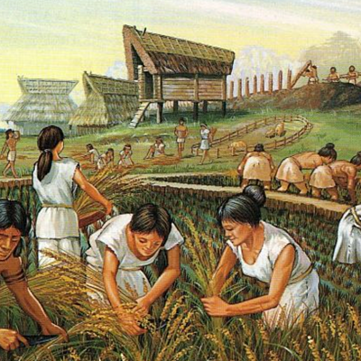 Timeline: Revolucion neolitica