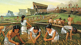 Timeline: Revolucion neolitica