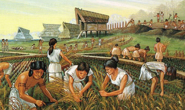 Revolucion neolitica