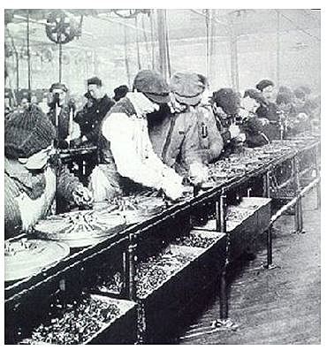 Plantas Automotrices Ford