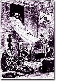 The Crowning of King Cotton