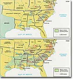 The Crowning of King Cotton