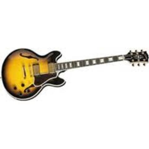 The first electric guitars