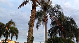 Timeline: Katie's Favorite Celebrities