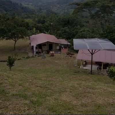 Timeline: When i met my farm