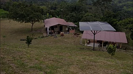 Timeline: When i met my farm