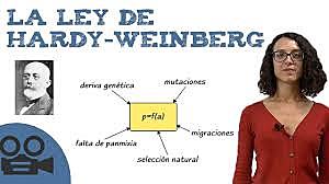 Ley de Hardy - Weinberg