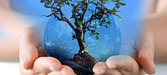 Origen del desarrollo sustentable