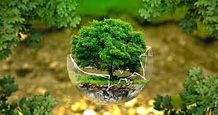 Es definido por primera vez el término desarrollo sustentable