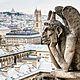 Gargola notre dame 900x600