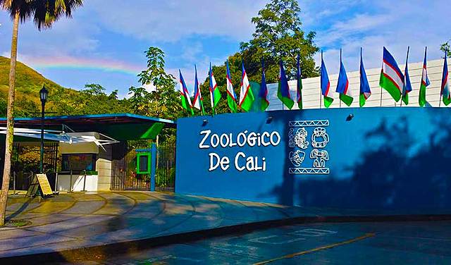 Mi primer visita al zoológico