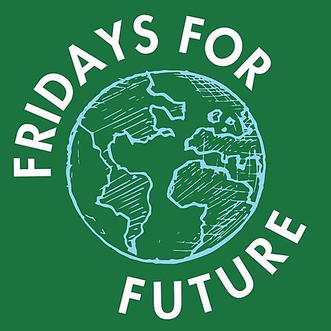Greta Thunberg crea Fridays for the future