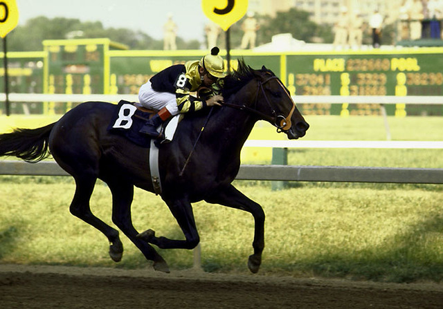 Seattle Slew is born