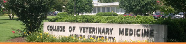 College of Veterinary Medicine
