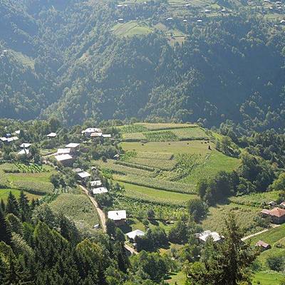 Timeline: ეკომიგრანტები