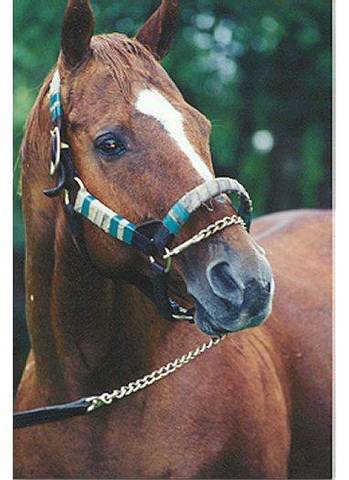 Affirmed is born