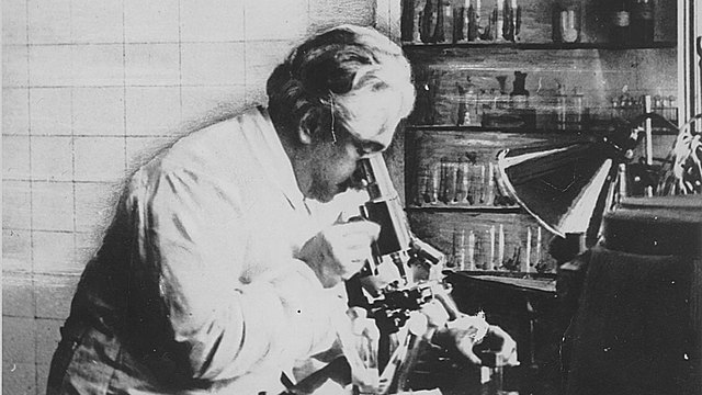 A despeito do medo e desconhecimento da população, em 1908, uma nova epidemia de varíola levou a população espontaneamente aos postos de vacinação e, assim o Brasil finalmente reconhecia o valor do sanitarista.