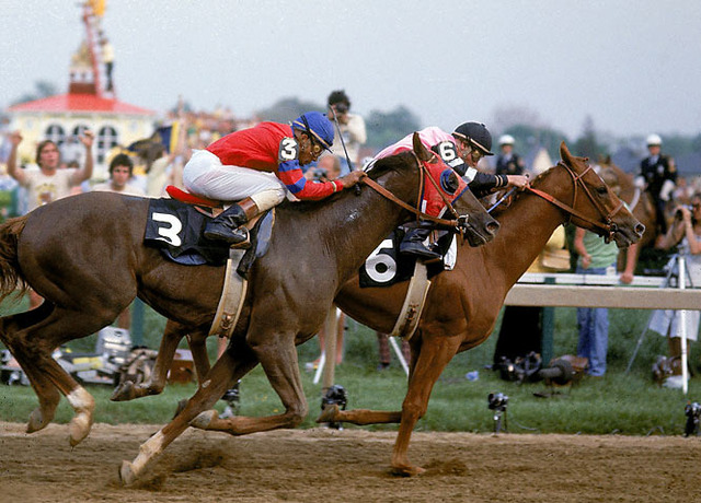 Affirmed wins the Triple Crown