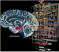 TELEPATIA ARTIFICIAL