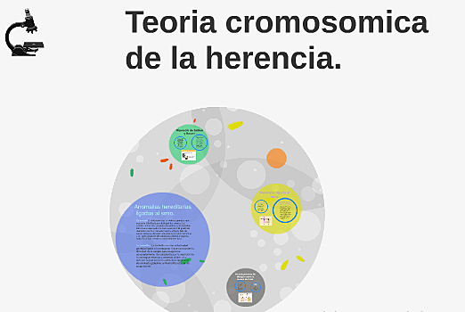 Principios del siglo XX (Teoría Cromosómica de la herencia)