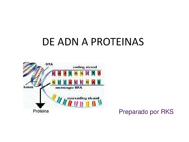 ADN y proteínas.