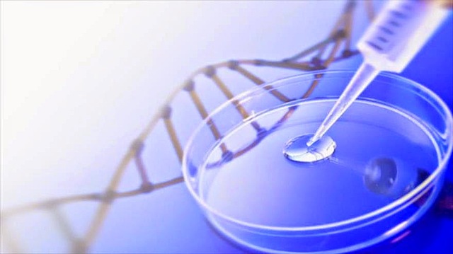 La era del ADN recombinante.